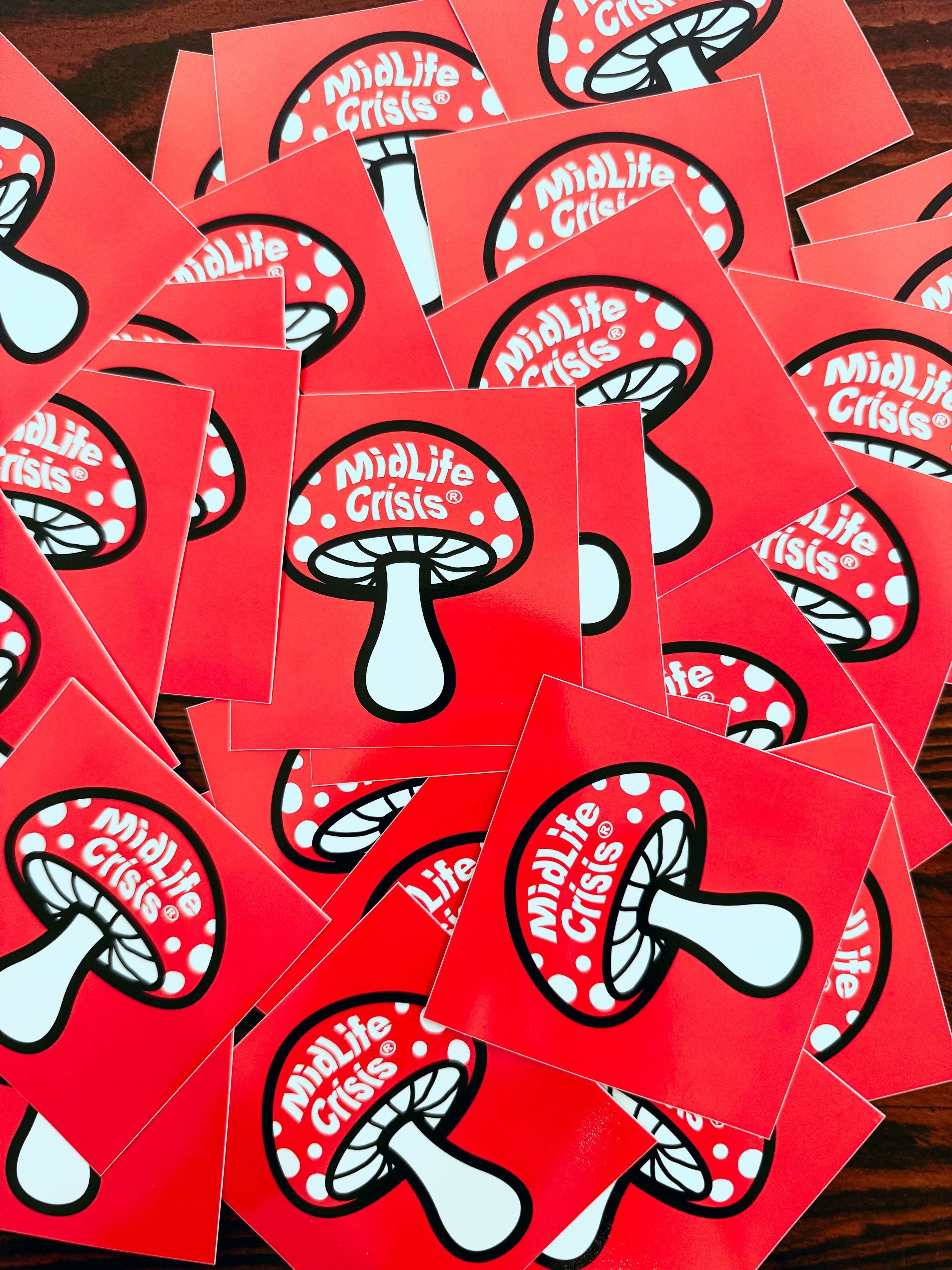 Square Mushroom Stickers (2 Stickers)