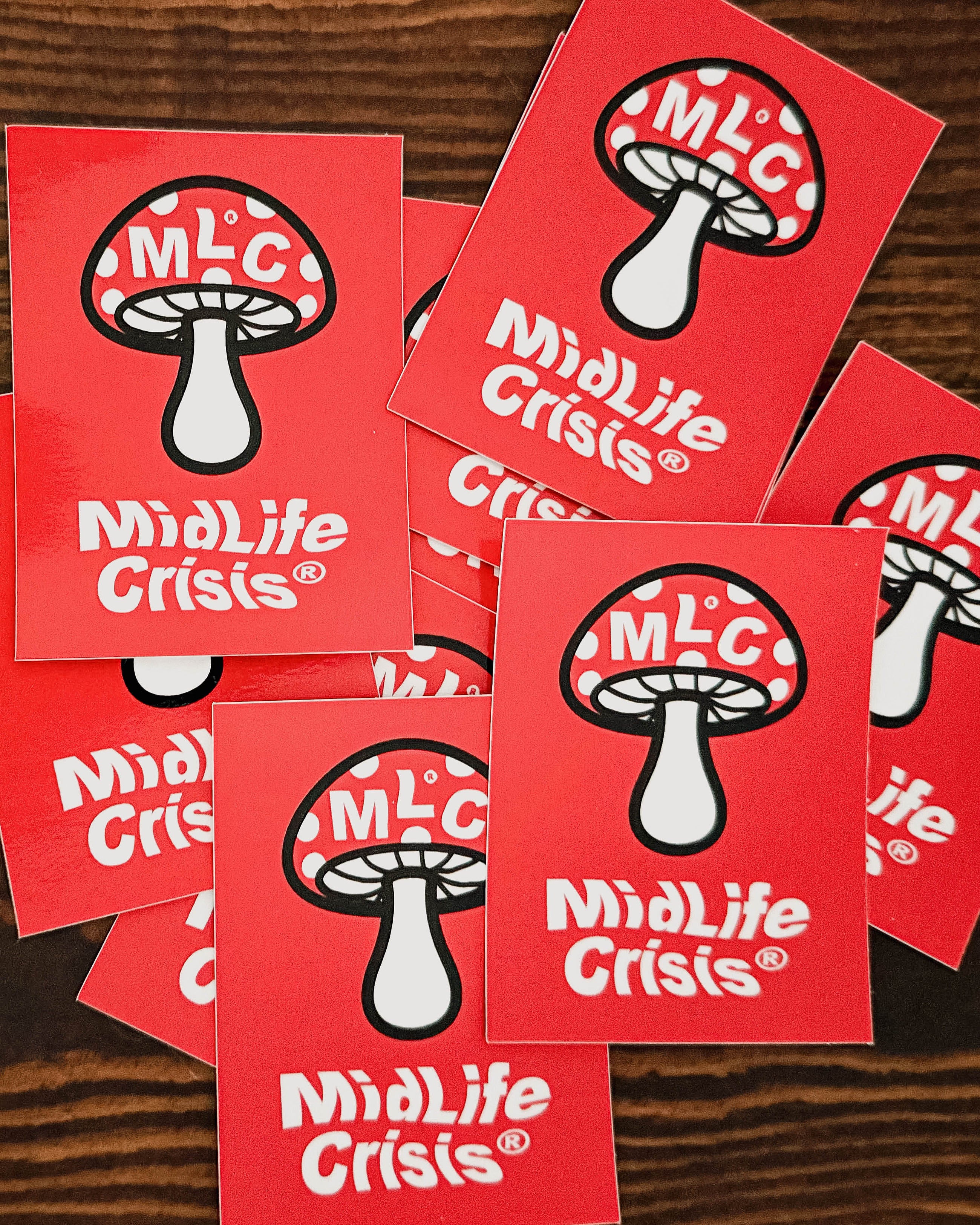 Mushroom Stickers (2 Stickers)