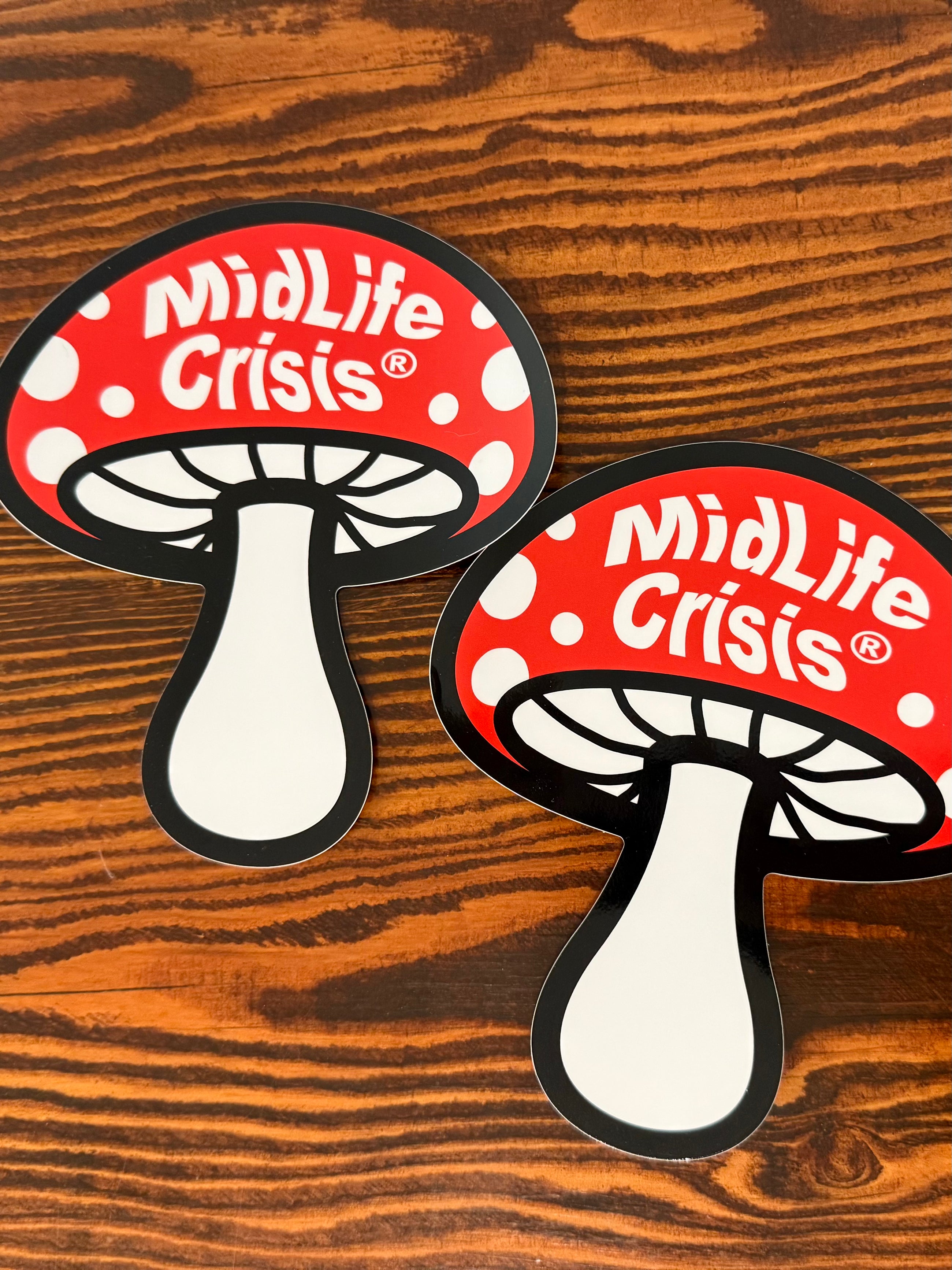Large Shroomin’ Stickers (2 stickers) 7”x6”